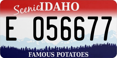 ID license plate E056677