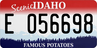 ID license plate E056698