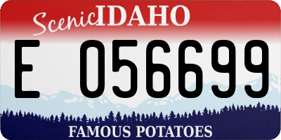 ID license plate E056699
