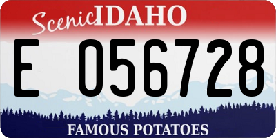ID license plate E056728