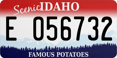 ID license plate E056732