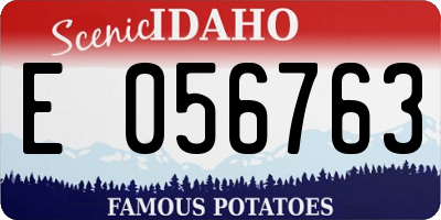 ID license plate E056763
