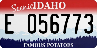ID license plate E056773