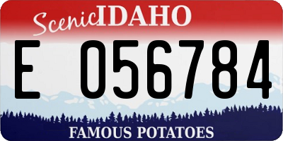 ID license plate E056784