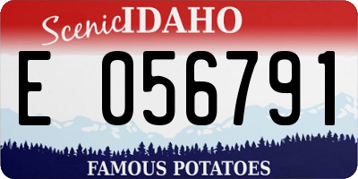 ID license plate E056791