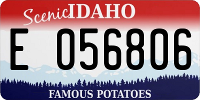 ID license plate E056806