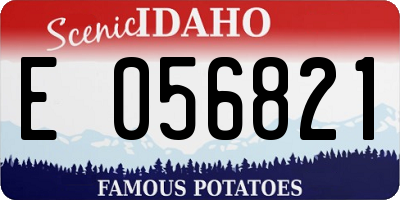 ID license plate E056821