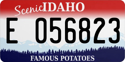ID license plate E056823