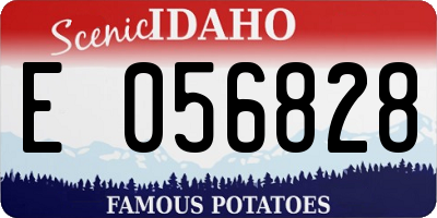 ID license plate E056828