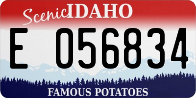 ID license plate E056834