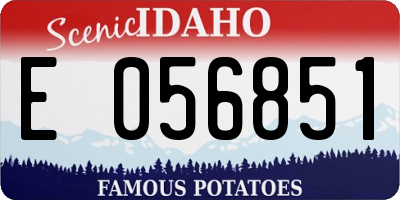 ID license plate E056851