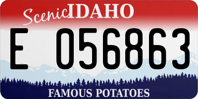 ID license plate E056863