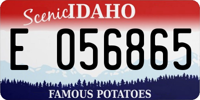 ID license plate E056865