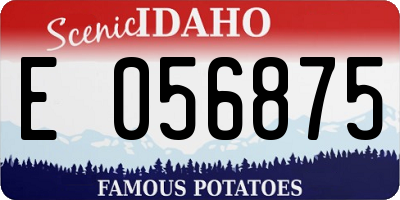 ID license plate E056875