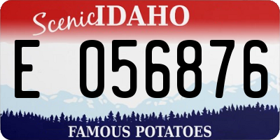 ID license plate E056876