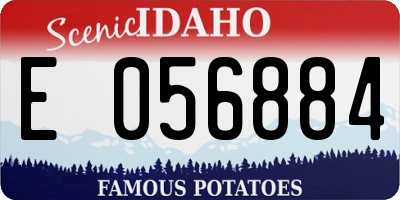 ID license plate E056884