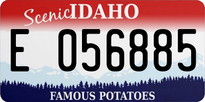 ID license plate E056885