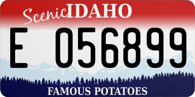 ID license plate E056899