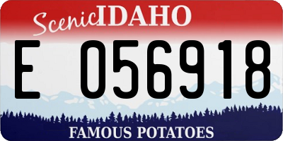 ID license plate E056918