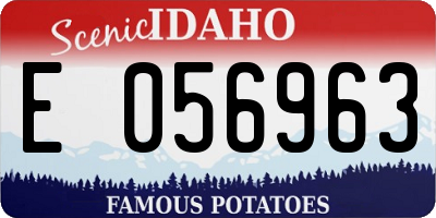 ID license plate E056963