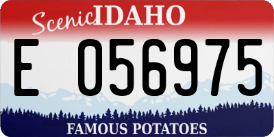 ID license plate E056975