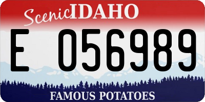 ID license plate E056989