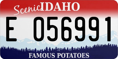 ID license plate E056991