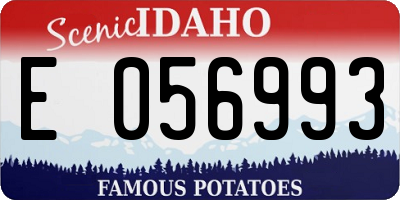 ID license plate E056993
