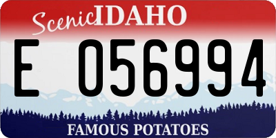 ID license plate E056994