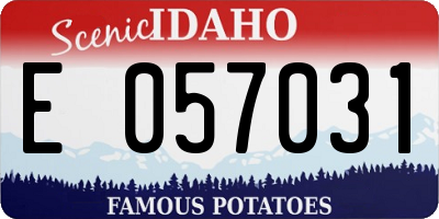 ID license plate E057031