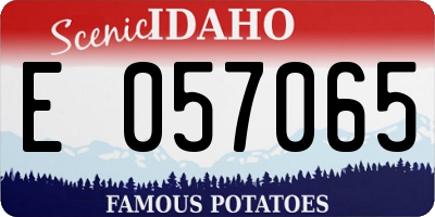 ID license plate E057065