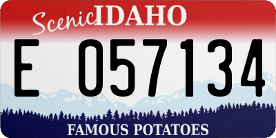 ID license plate E057134