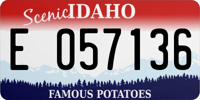 ID license plate E057136