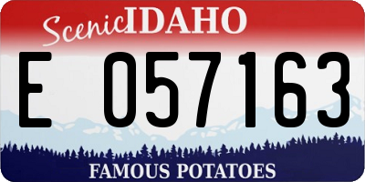 ID license plate E057163
