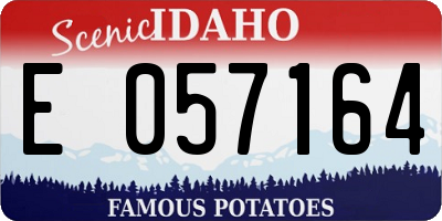 ID license plate E057164
