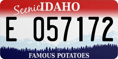 ID license plate E057172