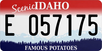 ID license plate E057175