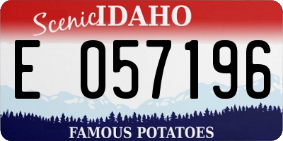 ID license plate E057196