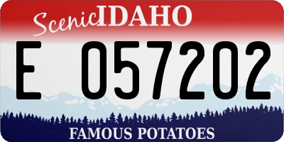 ID license plate E057202