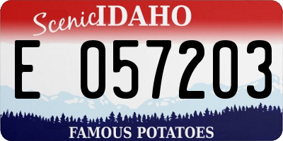 ID license plate E057203