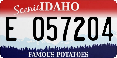 ID license plate E057204