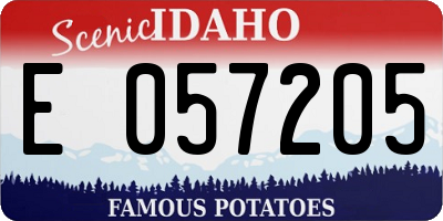 ID license plate E057205