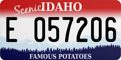 ID license plate E057206