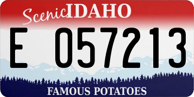 ID license plate E057213
