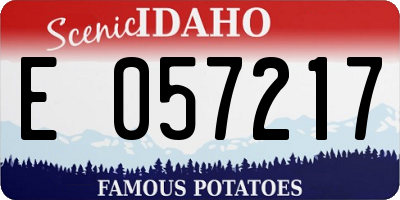 ID license plate E057217