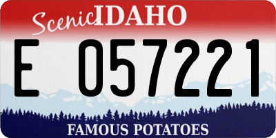 ID license plate E057221