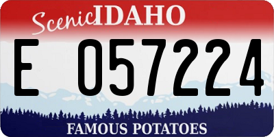 ID license plate E057224