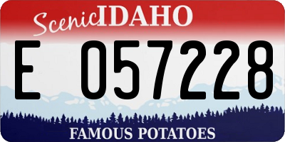 ID license plate E057228