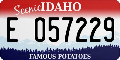 ID license plate E057229