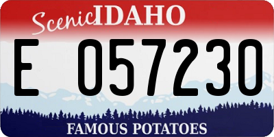 ID license plate E057230
